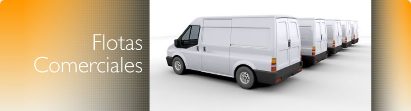 Main Commercial Customer