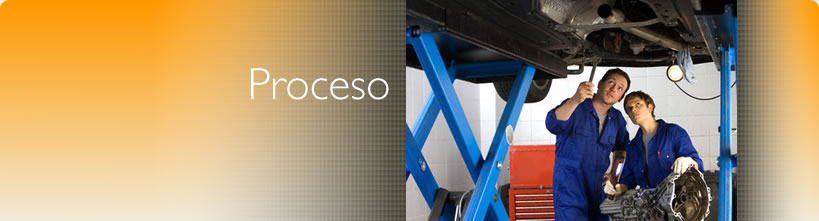 Main Process